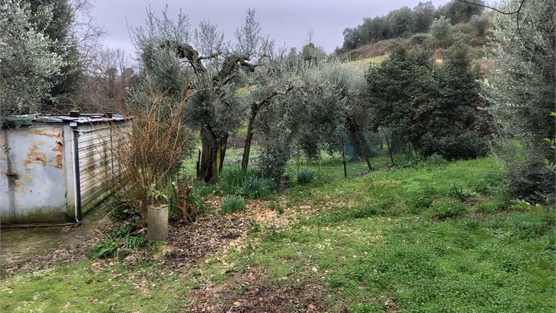 TERRENO AGRICOLO in VENDITA - AMELIA (TR)